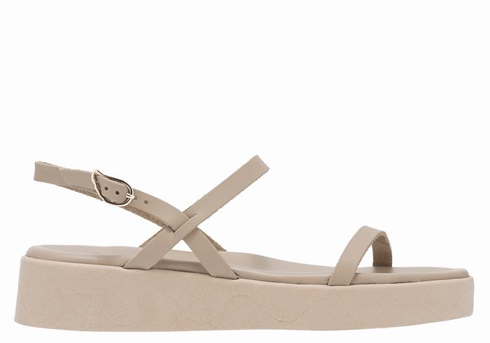 Ancient Greek Sandals Evriali Leather Plateau Sandalen Dames Grijs Bruin | YRJ2845TN