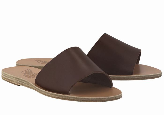 Ancient Greek Sandals Taygete Schuifsandalen Dames Koffie | QKK6835AA
