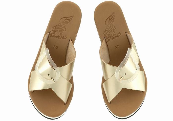 Ancient Greek Sandals Thais Rainbow Sleehak Sandalen Dames Goud Wit | IST330YE